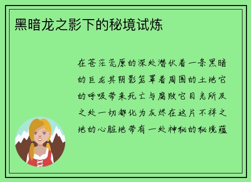 黑暗龙之影下的秘境试炼